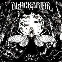A Dark Euphony | Blackbriar