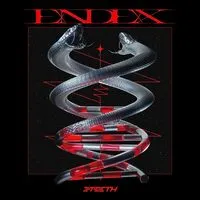 Endex | 3Teeth