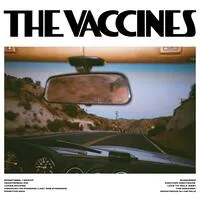 Pick-up Full of Pink Carnations | The Vaccines