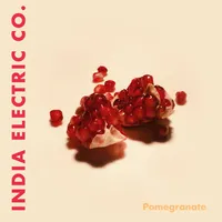 Pomegranate | India Electric Co.