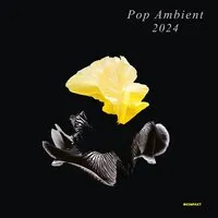 Pop Ambient 2024 | Various Artists