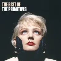 The Best of the Primitives | The Primitives