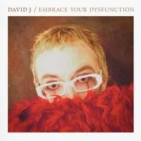 Embrace Your Dysfunction | David J