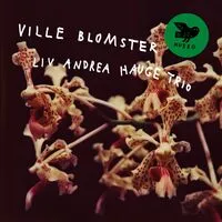 Ville Blomster | Liv Andrea Hauge Trio
