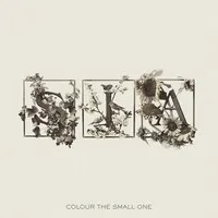 Colour the Small One (RSD 2024) | Sia