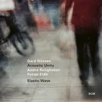 Elastic Wave | Gard Nilssen Acoustic Unity