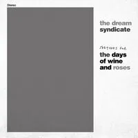 Sketches for the Days of Wine and Roses (RSD 2024) | The Dream Syndicate