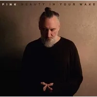 Beauty in Your Wake | Fink