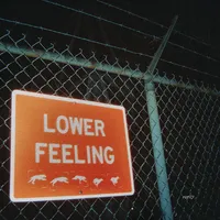Lower Feeling | Rarity