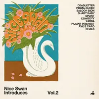 Nice Swan Introduces - Volume 2 | Various Artists
