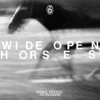 Wide Open, Horses | James Vincent McMorrow