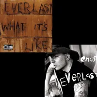 What It's Like/Ends | Everlast