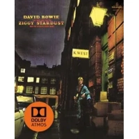 The Rise and Fall of Ziggy Stardust and the Spiders from Mars | David Bowie