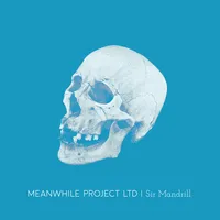 Sir Mandrill | Meanwhile Project Ltd