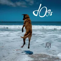 Joy | Dogs