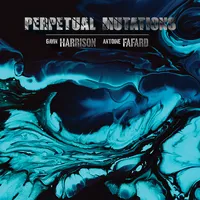 Perpetual Mutations | Gavin Harrison & Antoine Fafard