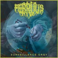 Surveillance Orgy | Februus