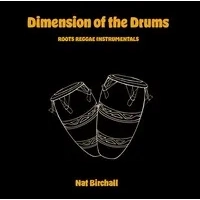 Dimensions of the Drums | Nat Birchall