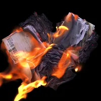 Burn the Ration Books of Love | Peter Alexander Jobson