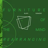 Furniture of the Mind Rearranging | Black Diamond