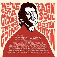 We've Got a Groovy Thing Going: The Latin Soul of Bobby Marin | Various Artists