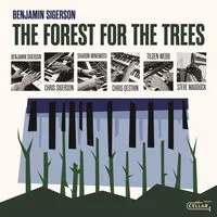 The forest for the trees | Benjamin Sigerson