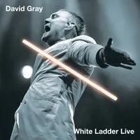 White Ladder Live | David Gray