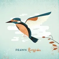 Kingfisher | Prawn