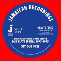 Set Dub Free/Dub Born Free | Niney the Observer