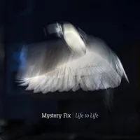 Life to Life | Mystery Fix