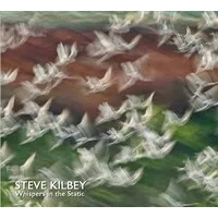 Whispers in the Static | Steve Kilbey