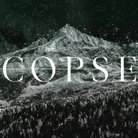 MMXXIV | Copse