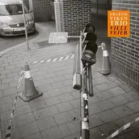 Ville veier/Wild roads | Erlend Viken Trio