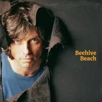 Beehive Beach | Euros Childs