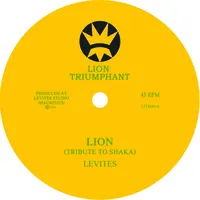 Lion (Tribute to Shaka) | Levites