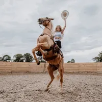 Emotional Rodeo | Janet Devlin