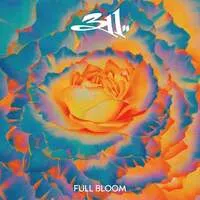 Full Bloom | 311