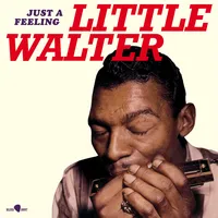 Just a feeling | Little Walter