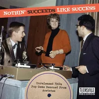 Nothin' Succeeds Like Success: Unreleased 1960s Pop Gems Rescued from Acetates | Various Artists