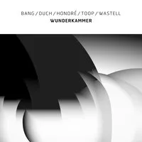 Wunderkammer | Bang/Duch/Honoré/Toop/Wastell