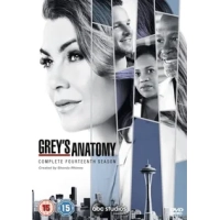 Grey's Anatomy: Complete Fourteenth Season|Ellen Pompeo