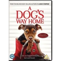 A Dog's Way Home|Jonah Hauer-King