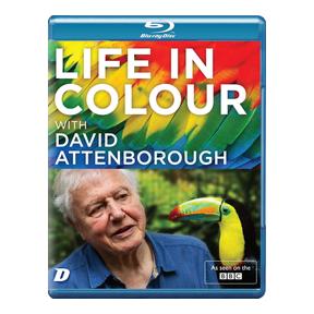 Life in Colour With David Attenborough|David Attenborough