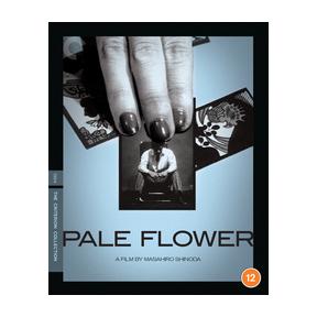 Pale Flower - The Criterion Collection|Ryô Ikebe