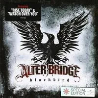 Blackbird | Alter Bridge