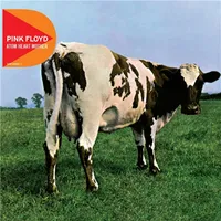 Atom Heart Mother | Pink Floyd