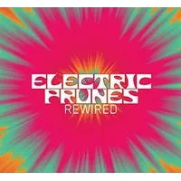 Rewired | The Electric Prunes