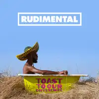 Toast to Our Differences | Rudimental