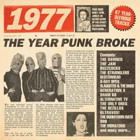 1977: The Year Punk Broke | Various Artists