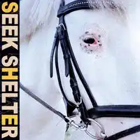 Seek Shelter | Iceage